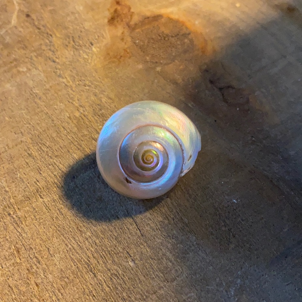 Natural shell pin